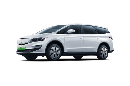 Livan Auto Maple 80v