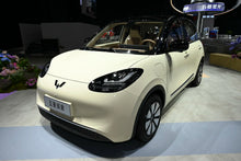 SAIC-GM-Wuling Bingo