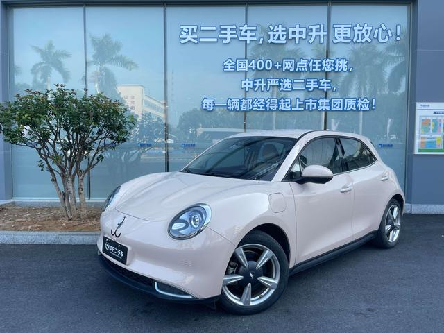 Certificated Pre-Owned Ora Good Cat 2023 Model 401km Standard Range Luxury Version with Lithium Iron Phosphate Battery