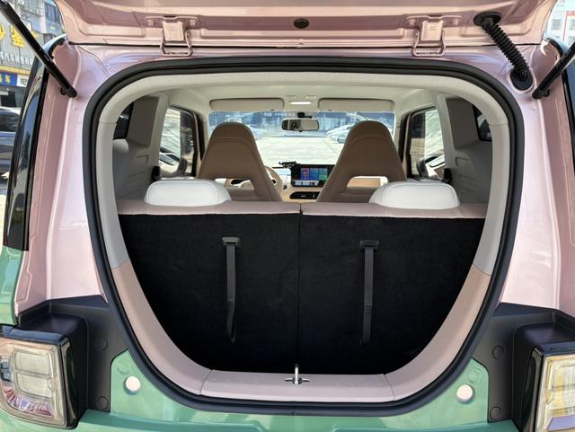 Pre-Owned Panda 2023 Model 200km Panda Mini Endurance Bear