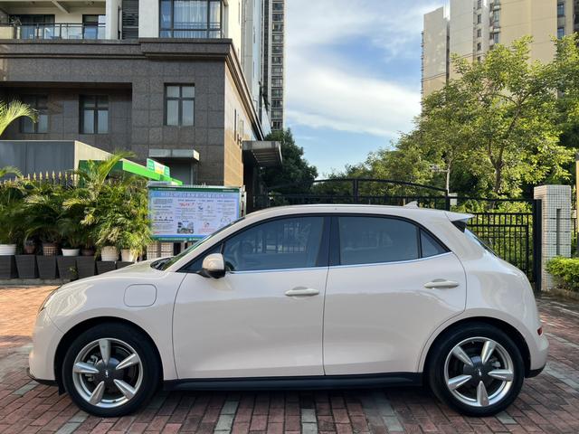 Pre-Owned Ora Haomao 2022 Morandi Edition 400km Standard Range Luxury Version (LFP Battery)