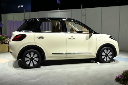 SAIC-GM-Wuling Bingo