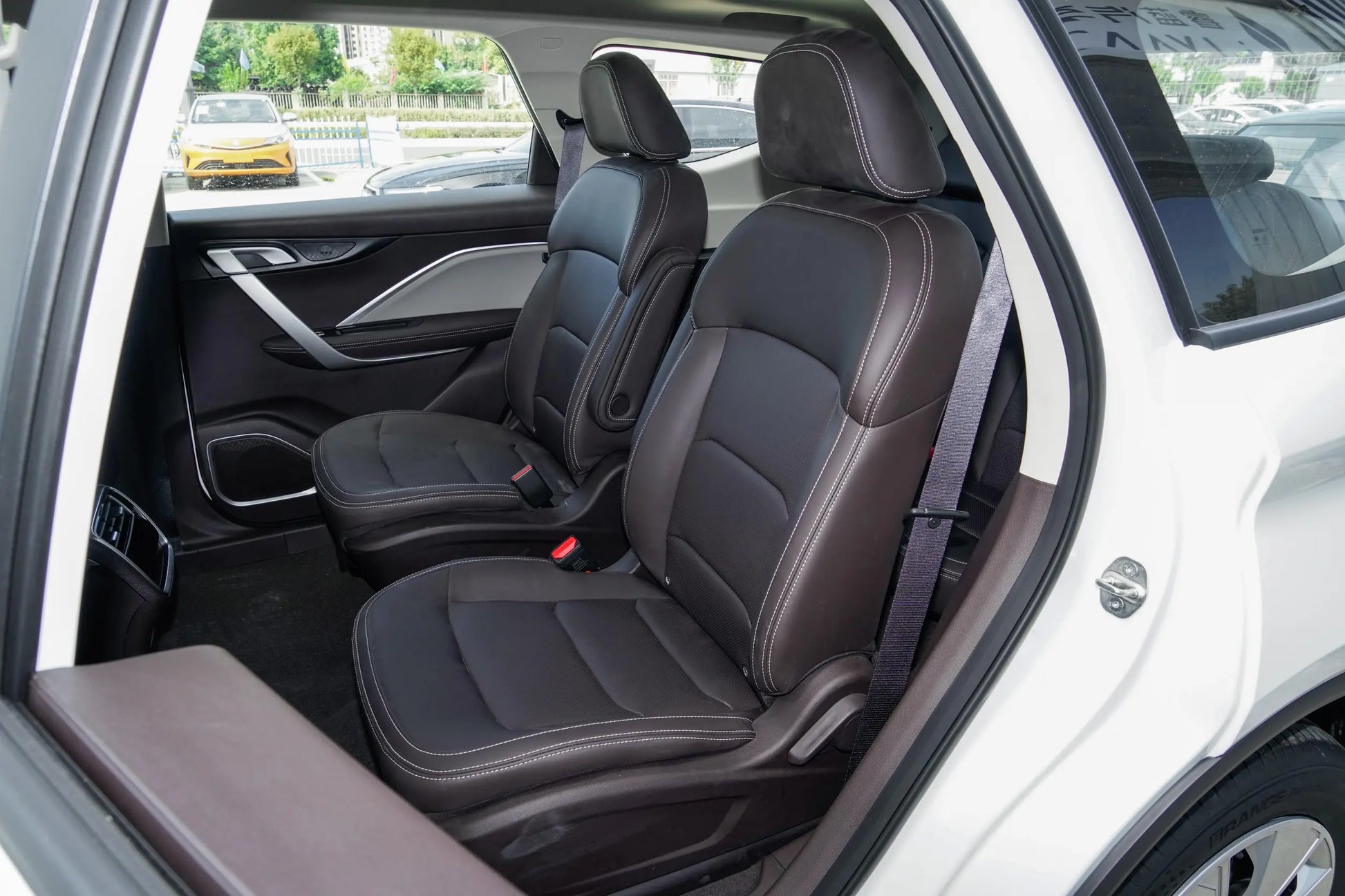 Livan Auto Maple 80v