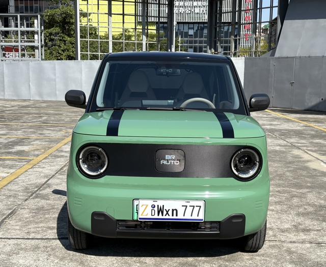 Pre-Owned Panda 2023 Model 200km Panda Mini Endurance Bear