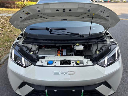 Pre-Owned BYD Seagull 2023 Free Version