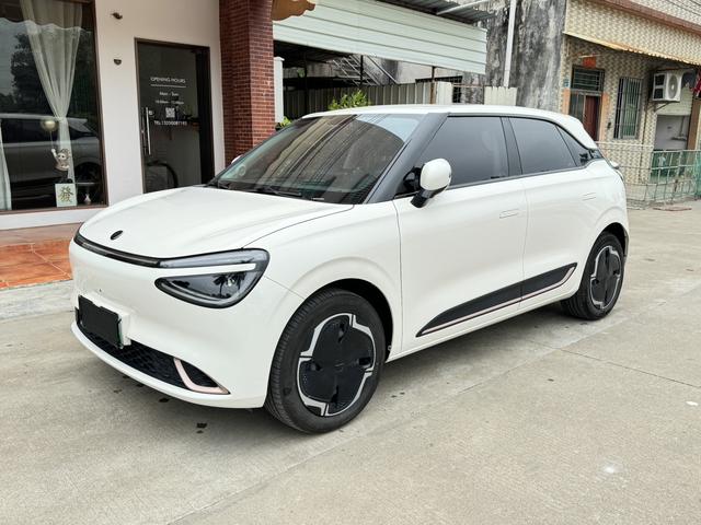Pre-Owned Dongfeng Nano 01 2024 Refreshed Version 330 Plus Zhi+