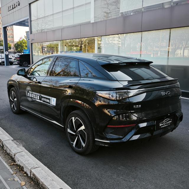 Certificated Used Sea Lion 07EV 2025 610 Intelligent Driving Version-u22031287