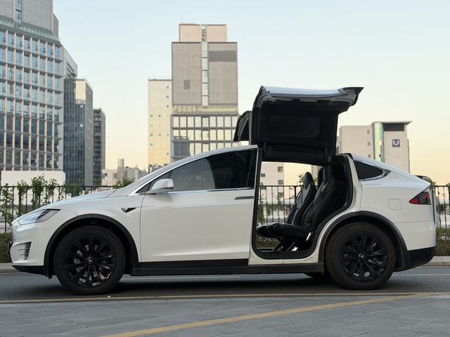 Pre-Owned Tesla Model X 2017 100D Long Range Edition