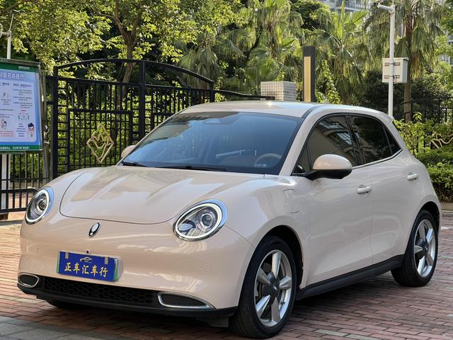 Pre-Owned Ora Haomao 2022 Morandi Edition 400km Standard Range Luxury Version (LFP Battery)